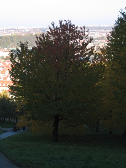 Original image