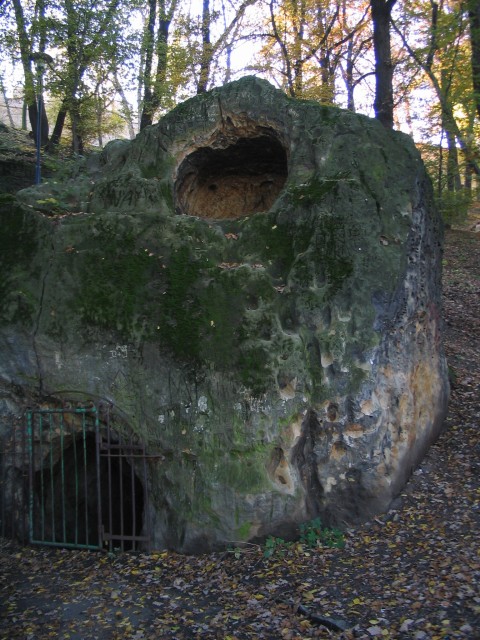Original image