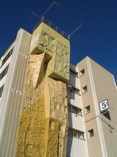 Original image