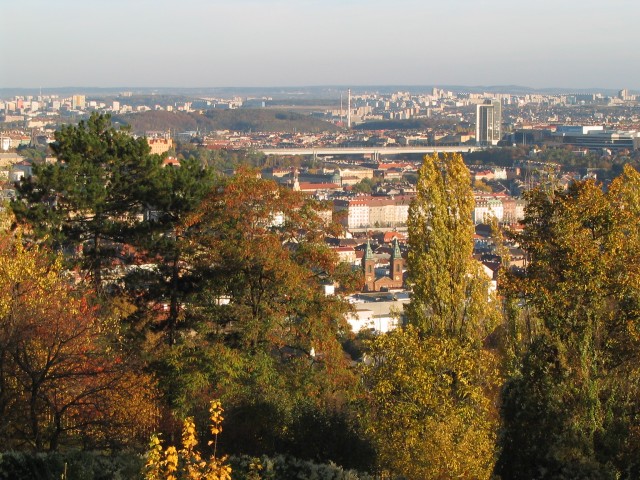 Original image