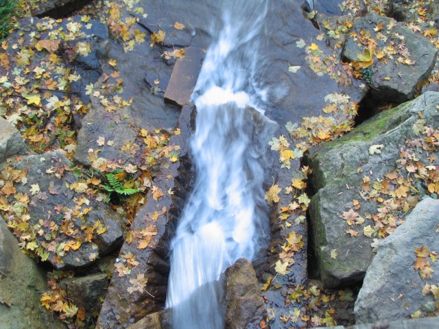 Original image