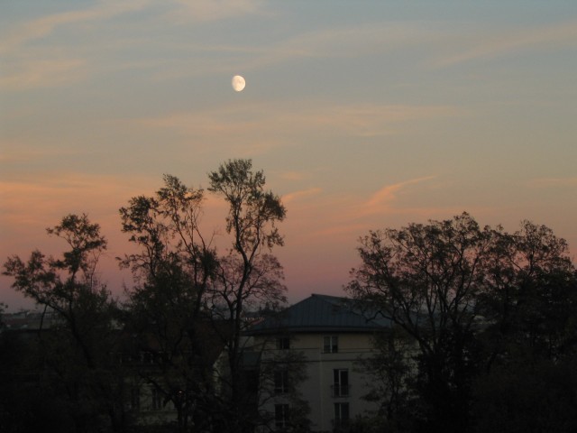 Original image