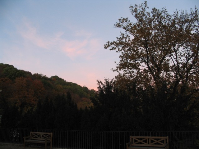 Original image