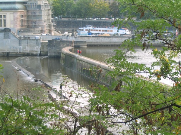 Original image