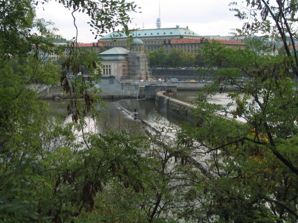 Original image