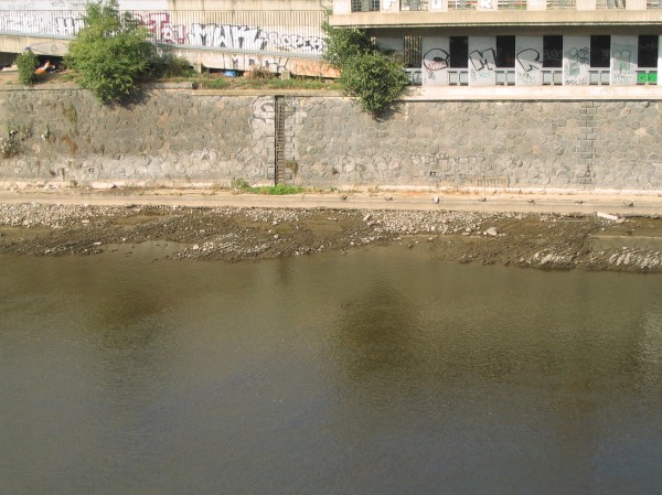 Original image