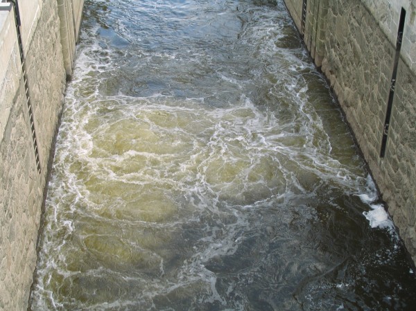 Original image